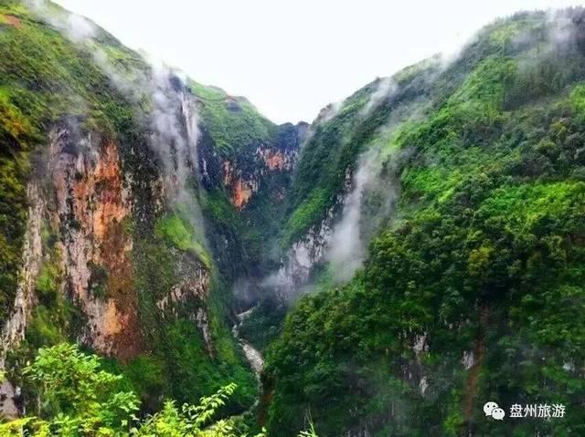 向上跳的香蕉